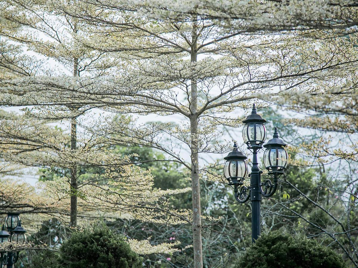 Flying Villa Nantou Buitenkant foto